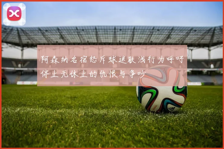 阿森纳名宿怒斥球迷肤浅行为呼吁停止无休止的仇恨与争吵